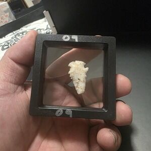 Stone Projectile‎ Point Lithic – Mexico Origin – Unauthenticated